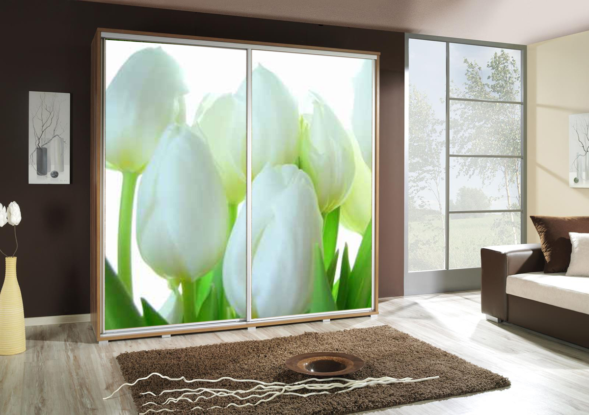 Šatní skříň Penelopa 2 Tulipány Barva korpusu: Slíva - wallis
