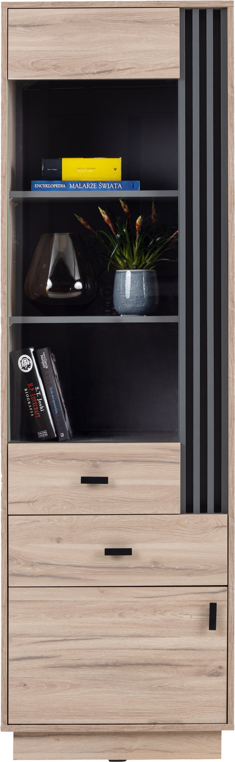 Vitrína AllMo AL3 Barva korpusu + barva dveří: Dub Estena + Antracit