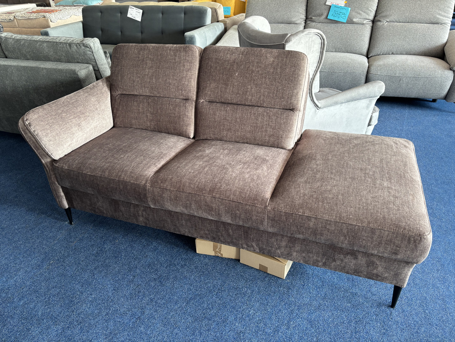 Lenoška Fosano - Vox 5